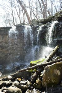 Scenic view of waterfall in forest