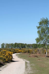 Scenic view of landscape against clear blue sky