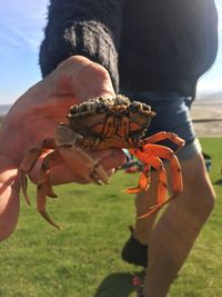 Close-up of hand holding cigarette
