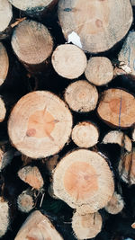 Stack of logs