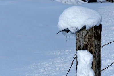 Frozen wooden post on snow covered land