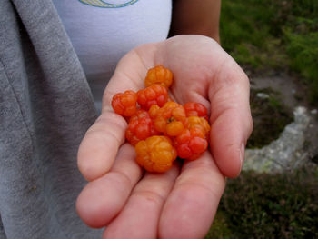 Cropped image of hand holding orange