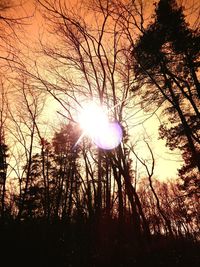 Low angle view of silhouette trees against sky during sunset