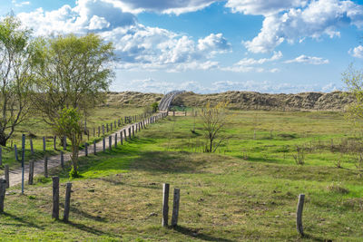 Scenic view of field against sky