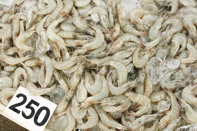 Detail shot of prawns for sale