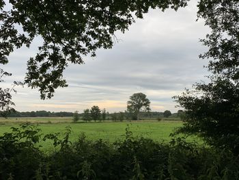 Scenic view of field against sky