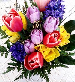 Close-up of multi colored flowers