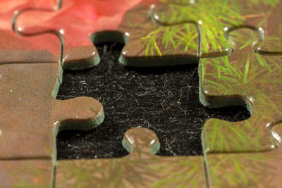 High angle view of coffee beans on table