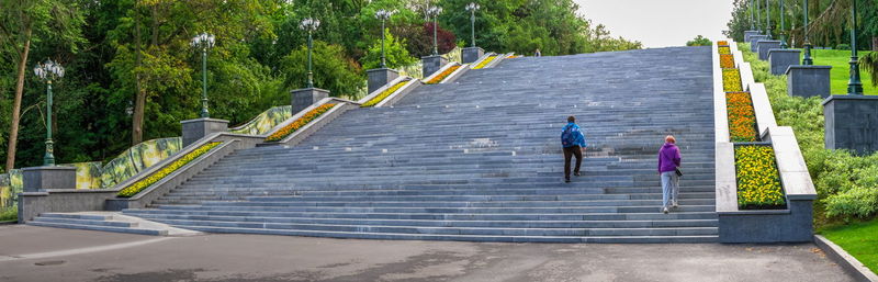 Rear view of people on staircase against trees