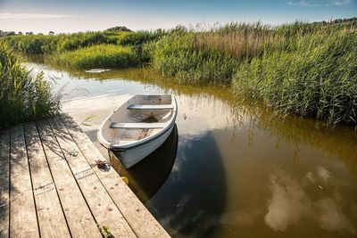 Boat moored on lake by trees