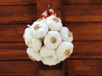 Directly above shot of white flower on wood