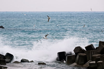 Waves splashing on rocks