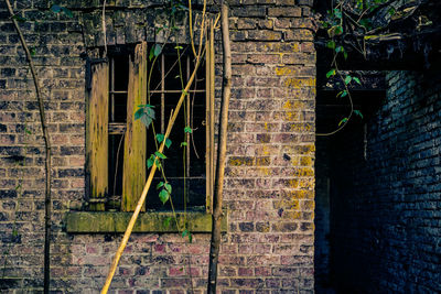 Graffiti on wall of house