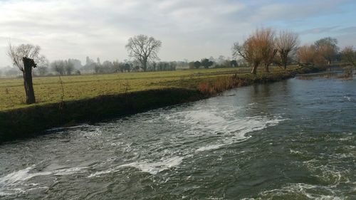 Scenic view of farm against sky