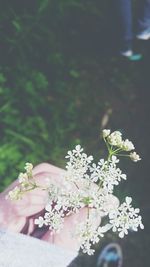 Close-up of woman with flowers on tree