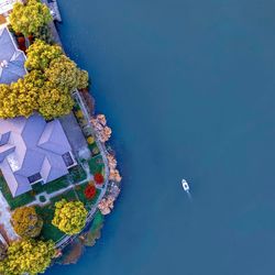 High angle view of plants in sea