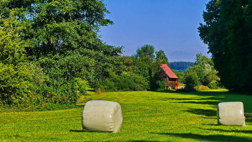 Scenic view of park against sky