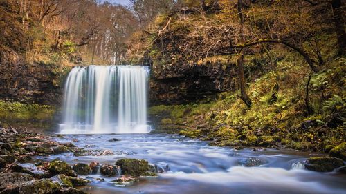 Waterfall in forest