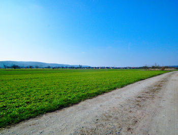 Scenic view of agricultural field against clear blue sky