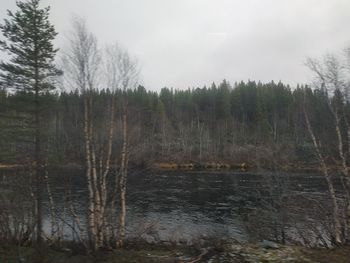 Scenic view of waterfall in forest against sky