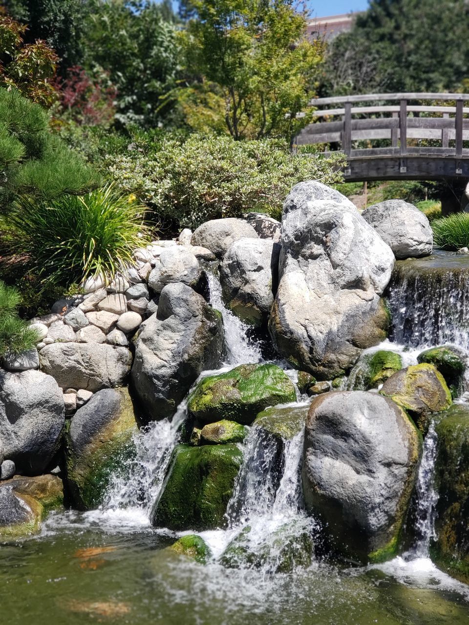 VIEW OF WATERFALL ALONG ROCKS AND PLANTS