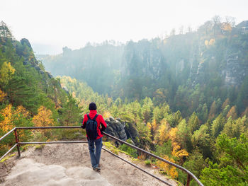 Rear view of man walking on mountain