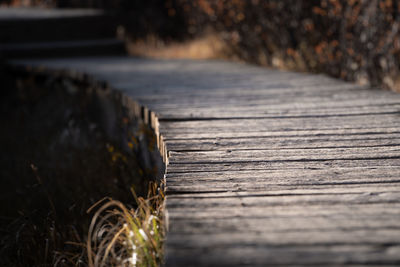 Close-up of wood