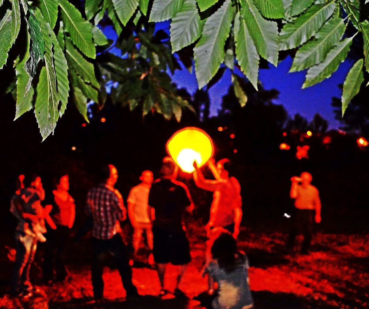 tree, large group of people, togetherness, leaf, men, leisure activity, celebration, lifestyles, outdoors, crowd, sunlight, growth, enjoyment, person, green color, nature, illuminated, park - man made space, fun