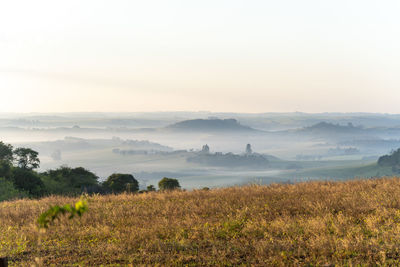 Scenic view of field against sky during foggy weather