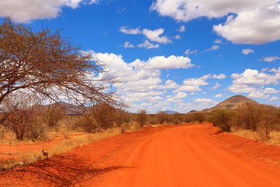 Road amidst bare trees against sky