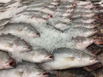 Full frame shot of fish for sale in market