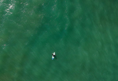 High angle view of man swimming in sea