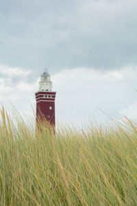 Beach grass in the foreground and the blurred 56 meter high angular west head lighthouse in ouddorp 