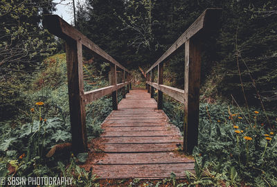 Wooden footbridge in forest