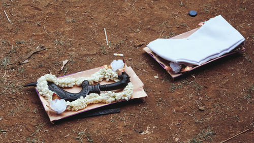 High angle view of chocolate cake on land