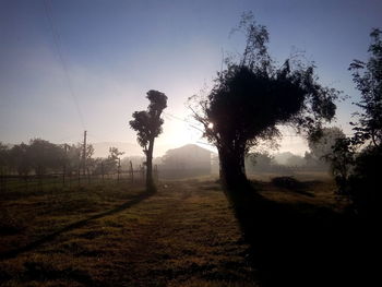 Scenic view of grassy field against sky