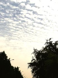 Low angle view of silhouette trees against sky