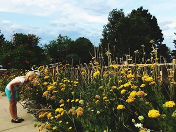 Full length of woman against yellow flowers