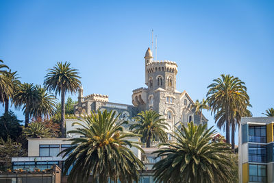 Low angle view of palm trees against clear blue sky