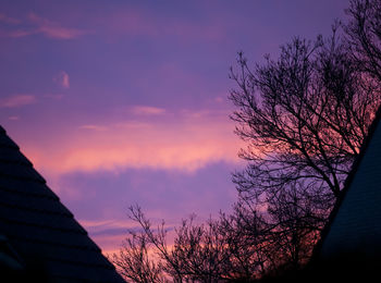 Silhouette tree against sky during sunset