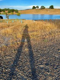 Shadow of person on land