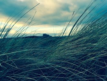 Scenic view of field against cloudy sky