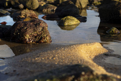 Close-up of wet rocks on shore