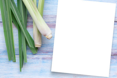 High angle view of plant hanging on table
