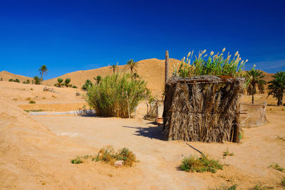 Scenic view of desert against clear blue sky