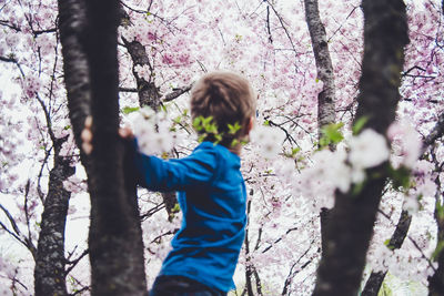 Woman standing on tree trunk