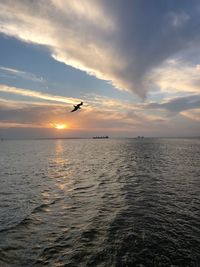 Bird flying over sea against sky during sunset