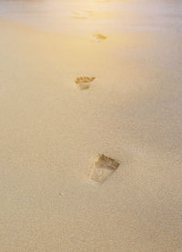 High angle view of footprints on wet sand at beach