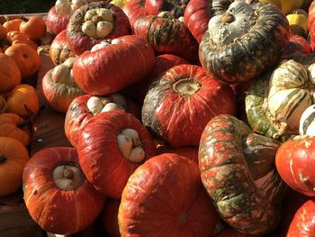 Full frame shot of pumpkins