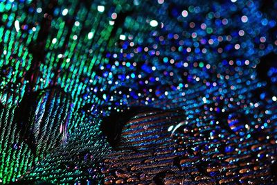 Full frame shot of abstract pattern